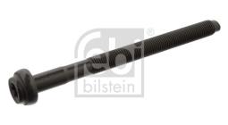 ŚRUBA GŁ. FIAT FEBI FE15696