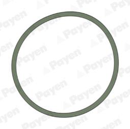 USZCZ.KOL.SS. /PAYEN/ PAYEN PAY JD5228