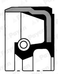 ZIMERING /PAYEN/ PAYEN PAY NB884