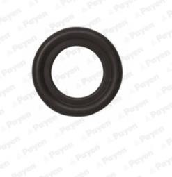 ORING /PAYEN/ PAYEN PAY LA5238