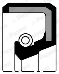 ZIMERING /PAYEN/ PAYEN PAY NF841