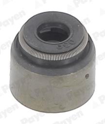 USZCZ.ZAW. /PAYEN/ PAYEN PAY PA6055