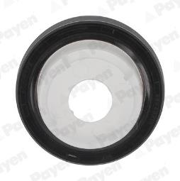 ZIMERING /PAYEN/ PAYEN PAY NA5106