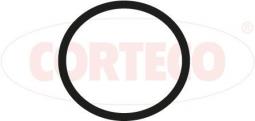 USZCZ.KOLEKT.SS.                        CITROEN EVASION (22, U6)2.0 16V 05.1998- CO450533H