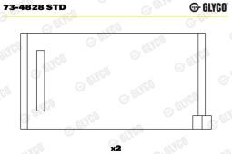 PANEWKA WAŁKA ROZRZ.VW 2.5TDI 02- FEDERAL 73-4828   STD