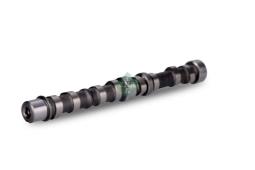 WAŁEK ROZRZ.FIAT 1,3JTD 03- Extendet progra 428 0102 10