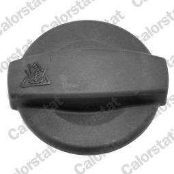 KOREK ZBIOR.WYR.AUDI 1,8-4,2 95-        /1,4BAR-20PSI/ /A4,A6,A8/ VERNET RC0002