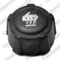 KOREK ZBIOR.WYR.RENAULT 1,2-2,5 96-     /1,4BAR-20PSI/ /CLIO,MEGANE,LAGUNA,VIVARO,MICRA,LOGAN/ VERNET RC0016