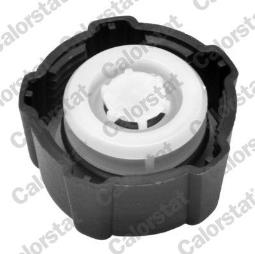 KOREK ZBIOR.WYR.RENAULT 1,2-2,5 96-     /1,4BAR-20PSI/ /CLIO,MEGANE,LAGUNA,VIVARO,MICRA,LOGAN/ VERNET RC0016