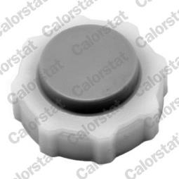 KOREK ZBIOR.WYR.RENAULT 1,7-2,5 84-     /1,2BAR-18PSI/ /19,CLIO,LAGUNA,TRAFIC/ VERNET RC0018