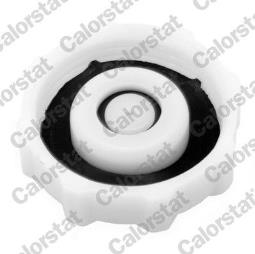 KOREK ZBIOR.WYR.RENAULT 1,7-2,5 84-     /1,2BAR-18PSI/ /19,CLIO,LAGUNA,TRAFIC/ VERNET RC0018