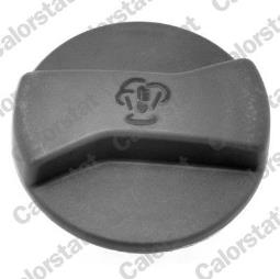 KOREK ZBIOR.WYR.AUDI 1,2-6,0 94-        /1,5BAR-22PSI/ /A2,A3,A4,A6,A8,POLO,GOLF,PASSAT,TUAREG/ VERNET RC0028