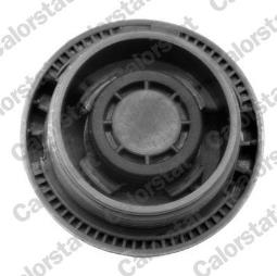 KOREK ZBIOR.WYR.AUDI 1,2-6,0 94-        /1,5BAR-22PSI/ /A2,A3,A4,A6,A8,POLO,GOLF,PASSAT,TUAREG/ VERNET RC0028