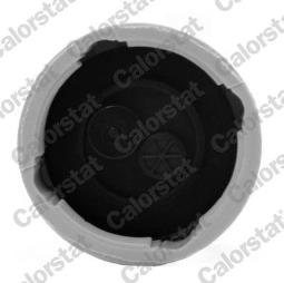 KOREK ZBIOR.WYR.DAEWOO 0,8-2,2 97-      /1,2BAR-18PSI/ /MATIZ,LANOS,NUBIRA,AVEO,LACETTI/ VERNET RC0039
