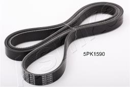 PASEK WIELOKLINOWY /ASHIKA/ ASHIKA 112-5PK1590