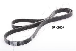 PASEK WIELOKLINOWY /ASHIKA/ ASHIKA 112-5PK1650