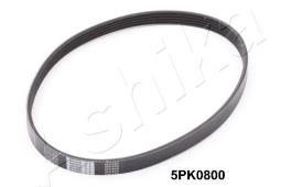 PASEK WIELOKLINOWY /ASHIKA/ ASHIKA 112-5PK800