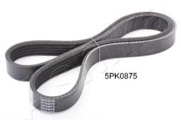 PASEK WIELOKLINOWY /ASHIKA/ ASHIKA 112-5PK875