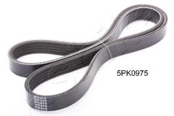 PASEK WIELOKLINOWY /ASHIKA/ ASHIKA 112-5PK975