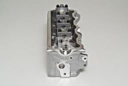 GŁOWICA FORD 1,7-1,9SDI 93- /1Z,AFN,AHU,AFN,AHV,AHH/ /AUDI/ AMC AMC908702