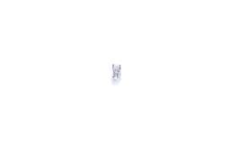 ŻARÓWKA 12V 2,3W W2x4,6d /BOSCH/ PURE   LIGHT PG2.3. 1 987 302 240