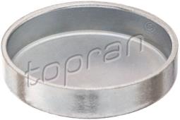 ZAŚLEPKA BLOKU OPEL 36MM HANS PRIES HP203 185
