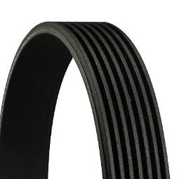 PASEK WIELOKLINOWY CONTI CON 7PK2535