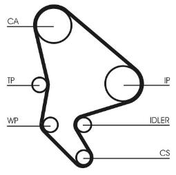 PASEK ROZRZ. CONTI CT1037
