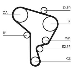 PASEK ROZRZ. CONTI CT1044