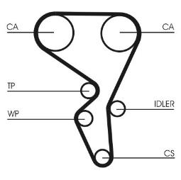 PASEK ROZRZ. CONTI CT1067
