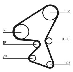 PASEK ROZRZ.MAZDA /137*25/ 1,6TD 04- /3/ CONTI CT1092