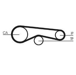 PASEK ROZRZ. CONTI CT1094