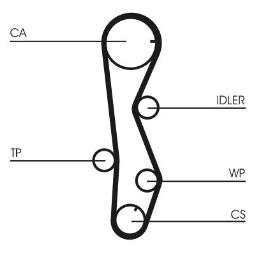 PASEK ROZRZ. CONTI CT1099