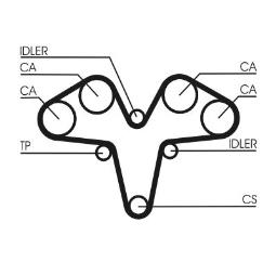 PASEK ROZRZ. CONTI CT1119