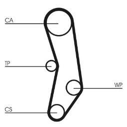 PASEK ROZRZ. CONTI CT515