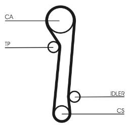 PASEK ROZRZ. CONTI CT781
