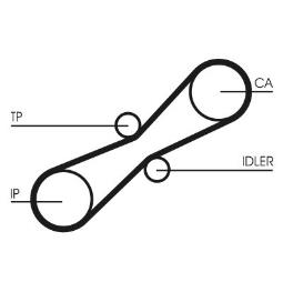 PASEK POMPY WTR.AUDI /080*21/ 2,5TD 89- CONTI CT791