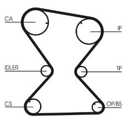 PASEK ROZRZ. CONTI CT842