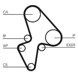 PASEK ROZRZ. CONTI CT906