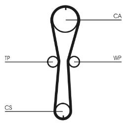 PASEK ROZRZ. CONTI CT915