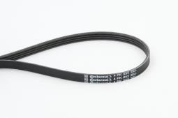 PASEK WIELOKLINOWY CONTI CON 4PK855