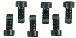 ŚRUBA KOŁA ZAMACHOWEGO VW M10X1X22 /ZES TAW 6SZT/ SACHS 1874 000 003