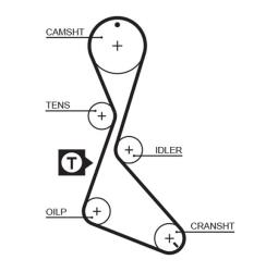PASEK ROZRZ.RENAULT /125*19/ 1,7 GATES PR5130XS