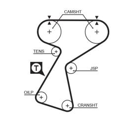 PASEK ROZRZ.RENAULT /144*25,4/ 1,8 16V GATES PR5244XS
