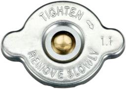 KOREK ZBIOR.WYR.AUDI 1,4-3,2 98-        /1,4BAR-20PSI/ /A3,A4,A5,IBIZA,LEON,FABIA,OCTAVIA/ GATES RC228