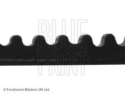 PASEK WIELOKLINOWY ADL AD10V885