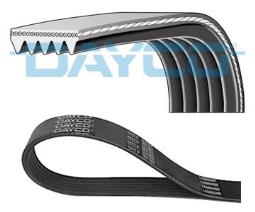 PASEK WIELOKLINOWY /DAYCO/ DAY5PK884