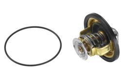 TERMOSTAT FIAT DUCATO 2,5D 94- WAHLER WA4174.88D