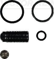 ZESTAW NAPRAWCZY POMPOWTRYSKIWACZA VW   VW GOLF V,SKODA OCTAVIA,PASSAT, TOURAN 1.9TDI/2.0TDI 05.03- REINZ 15-42119-01
