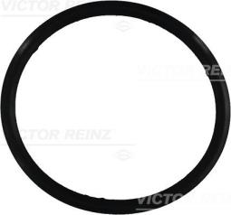 USZCZ.POK.DB 3,0D,TD /OM606/ /ORING/ REINZ 71-31649-00
